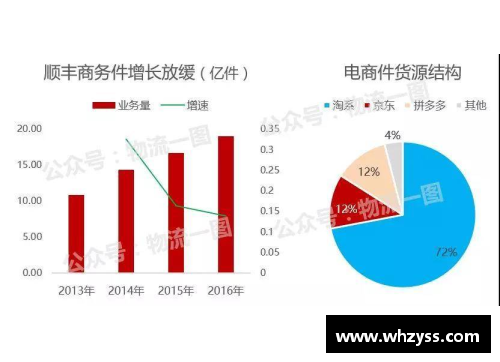 球员稳定表现的关键因素及其影响因素